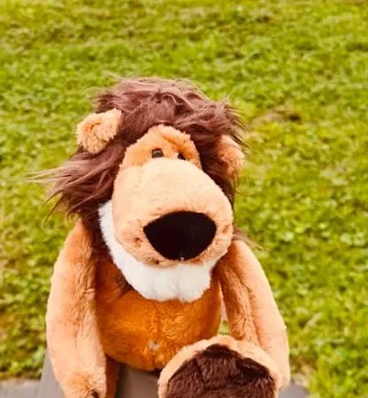 Quiet Nature Near Cologne 2 * 베르기슈글라트바흐