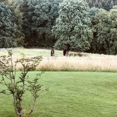 Quiet Nature Near Cologne 2 펜션 베르기슈글라트바흐