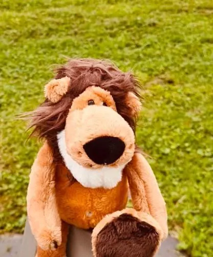 Quiet Nature Near Cologne 2 * Bergisch Gladbach