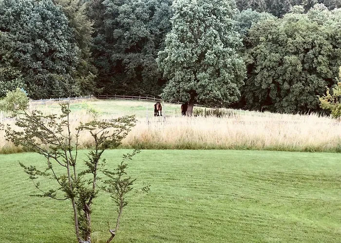 Quiet Nature Near Cologne 2 Hébergement de vacances Bergisch Gladbach